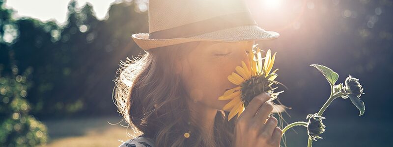 Frau riecht an Sonnenblume.