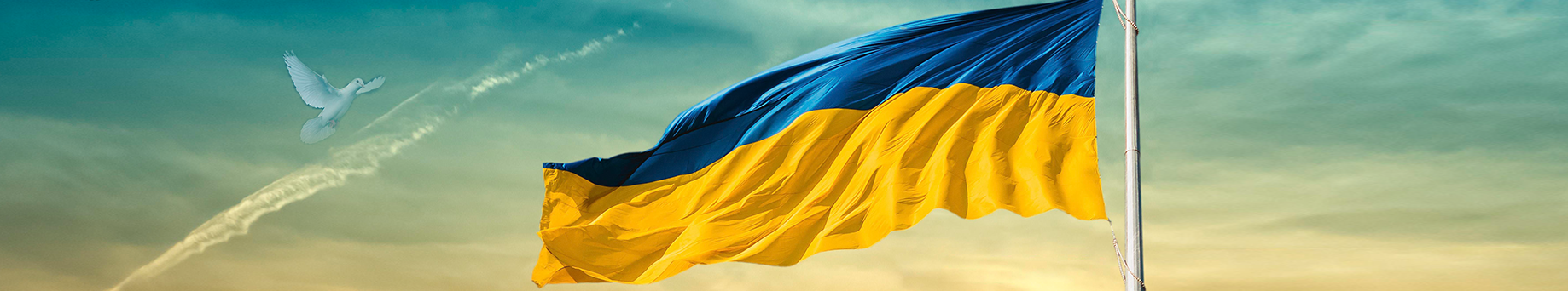 Fahne Ukraine, Himmel mit Taube